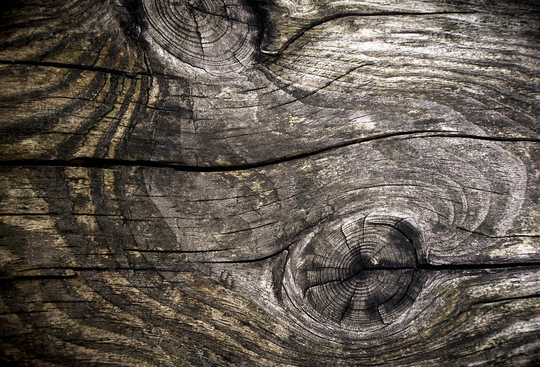 Background of natural wood. Old wood with cracks. Close-up. Selective focus.