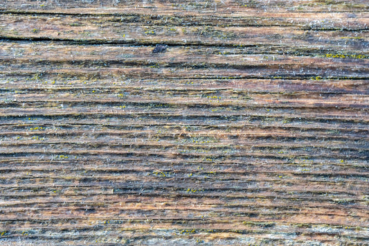 Pale faded brown and cool blue reclaimed pine wood surface with aged boards lined up. Weathered wooden planks on a wall or floor texture. Neutral stained vintage wood background.