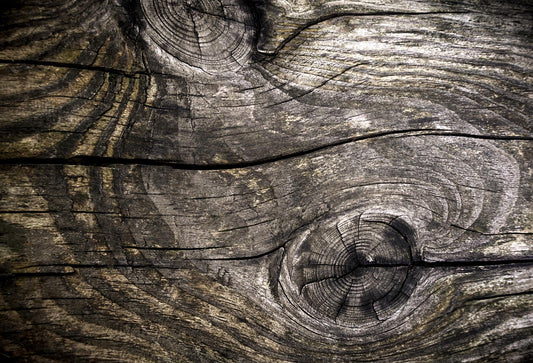 Background of natural wood. Old wood with cracks. Close-up. Selective focus.